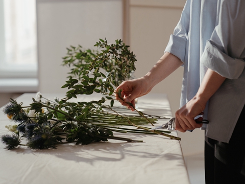 海外公司注冊(cè)全流程指南：從選址到運(yùn)營(yíng)全解析