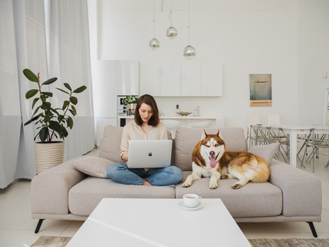 手把手教你輕松開設(shè)香港離岸賬戶