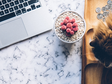 注冊海外公司指南：滿足全球業(yè)務(wù)需求一站式解決方案